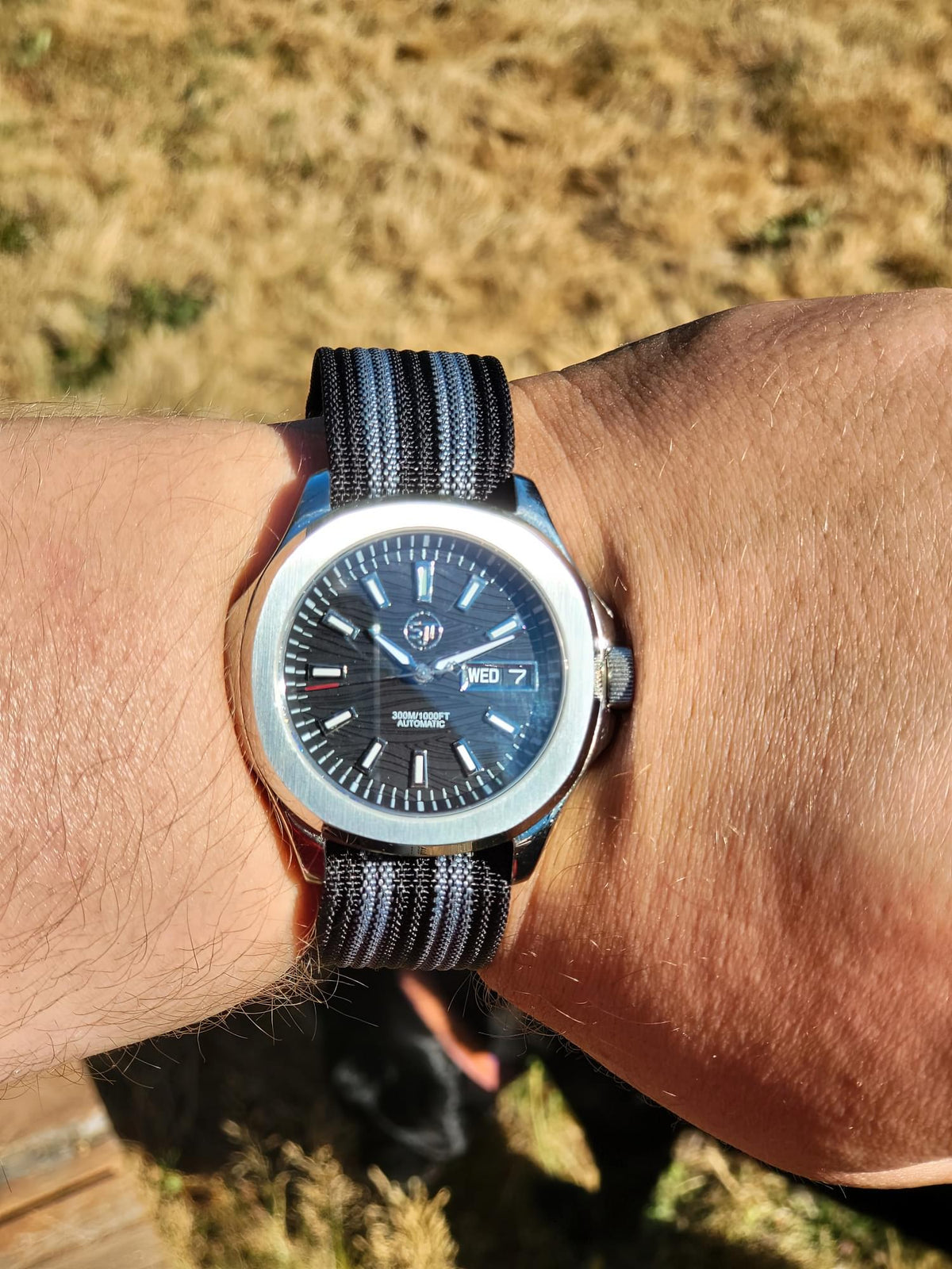 The Alias SJT Original wristwatch with a blue dial and a black-and-gray striped fabric strap, worn on a person's wrist outdoors with dry grass in the background.