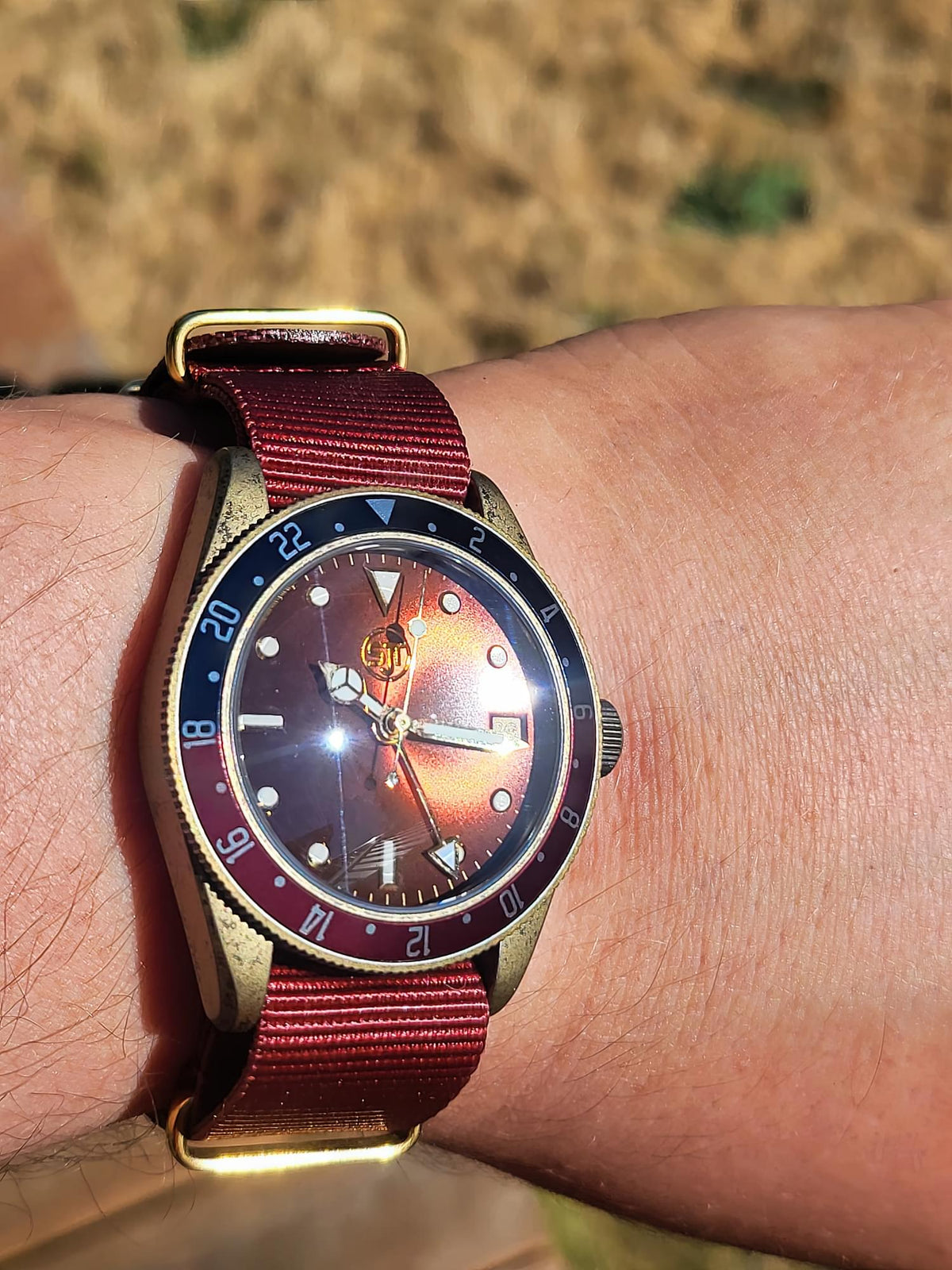 The Vintner SJT Original wristwatch with a red fabric strap, gold-tone case, and a blue and red rotating bezel, shown worn on a person's wrist outdoors.