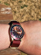 The Vintner SJT Original wristwatch with a dark dial, gold-tone case, and a red fabric strap, shown worn on a person's wrist against an outdoor background.