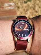 The Vintner SJT Original wristwatch with a gold-toned case, a dark brown sunburst dial, a red and black bezel, and a red fabric strap, shown worn on a person's wrist against an outdoor blurred background.