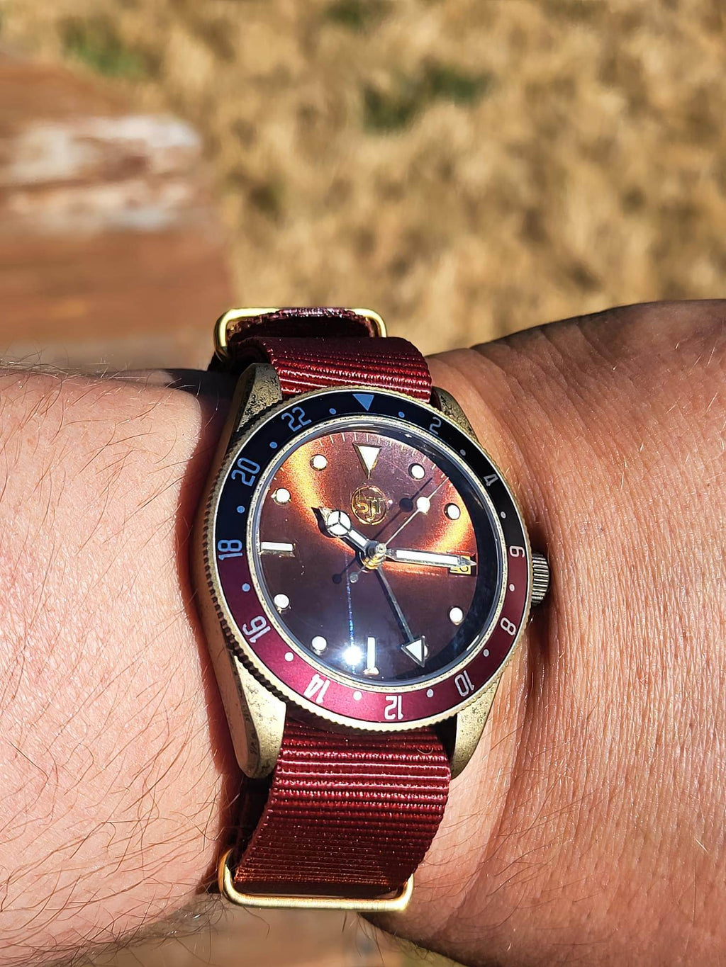 The Vintner SJT Original wristwatch with a red and black two-tone bezel, a dark patterned dial, and a red fabric strap, shown worn on a person's wrist against a blurred outdoor background.